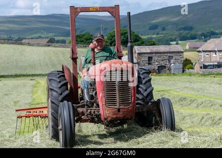 Agriculteur d'un Massey Ferguson 35 1963, ramer le foin prêt à être mis en balles, Hawes, North Yorkshire, Royaume-Uni. Banque D'Images