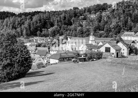 vue panoramique sur un village dans les bois faits en monochrome Banque D'Images
