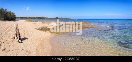 Plage d'Apulia : réserve naturelle de Torre Guaceto en Italie. Vue sur la côte et les dunes avec maquis méditerranéen. Banque D'Images