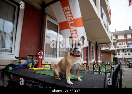 Tinkerbell, chien de compagnie de la famille de Chris, vu porter un collier avec la croix de St George.UN fan de football, Chris Ralph Dewes, Organisé la décoration de plus de 400 drapeaux St George exposés dans le domaine Kirby dans le sud-est de Londres avec d'autres résidents avant le début du tournoi de l'UEFA Euro 2020. La tradition de la propriété de mettre des centaines de drapeaux de St George a été depuis l'Euro 2012 et chaque fois les résidents ont réussi à placer plus de drapeaux dans la propriété. Au cours de chaque match de l'équipe d'Angleterre, Chris sera l'hôte et invitera d'autres résidents à se joindre à l'observation. Il a dit tout Banque D'Images