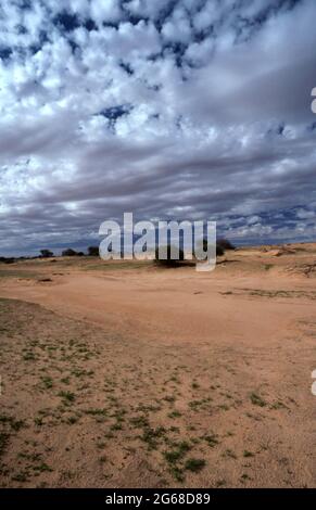 VUE SUR LES DUNES DE SABLE DU GRAND DÉSERT DE SIMPSON EN AUSTRALIE CENTRALE. Banque D'Images