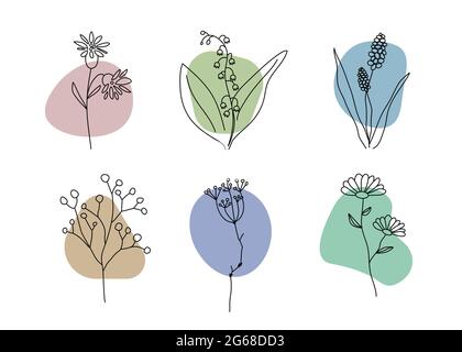 Icône de fleur sauvage. Élément du logo des cosmétiques naturels. Enseigne isolée du salon de beauté. Symbole de la nature. Illustration vectorielle Illustration de Vecteur