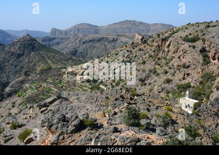 OMAN. LES MONTAGNES DE HAJAR. LA RÉGION DE JABAL AL AKHDAR, LA MONTAGNE VERTE, TIRE SON NOM DES CULTURES DE TERRASSE RENDUES POSSIBLES PAR LE FALAJ, AN I Banque D'Images