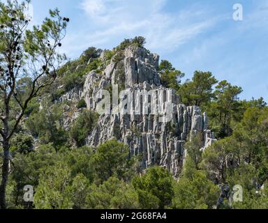 Rochers grimpants dans une forêt dense Banque D'Images