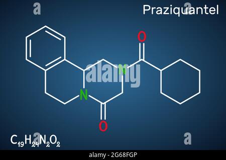 Praziquantel, PZQ, molécule. Il s'agit d'un médicament anthelmintique pour le traitement de la cysticercose, du schistosome, de la cestode et des infestations de trématode. Produit chimique structurel Illustration de Vecteur