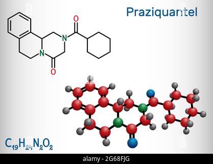 Praziquantel, PZQ, molécule. Il s'agit d'un médicament anthelmintique pour le traitement de la cysticercose, du schistosome, de la cestode et des infestations de trématode. Produit chimique structurel Illustration de Vecteur