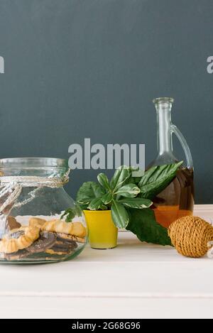 Des biscuits dans un vase en verre, une bouteille d'huile végétale, des bougies et des feuilles vertes dans la cuisine Banque D'Images