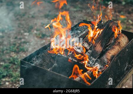 Une flamme vive du feu. Flammes sur barbecue. Bâtons de bois dans le feu Banque D'Images