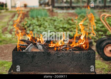 Une flamme vive du feu. Flammes sur barbecue. Bâtons de bois dans le feu Banque D'Images