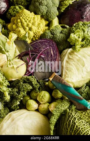 Vue de dessus de fond plein cadre de différents types de cabages mûrs disposés sur la stalle avec couteau au marché local Banque D'Images