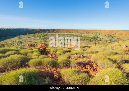 Spinifex qui pousse sur les pentes du cratère de météorite de Wolfe Creek, une attraction touristique populaire près de Halls Creek, Australie occidentale, Australie occidentale, Australie Banque D'Images