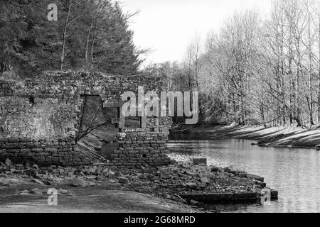 Ruines d'un ancien village de Flax Mill près du réservoir de Thruscross, près de Harrogate, North Yorkshire, Angleterre, Royaume-Uni. Banque D'Images