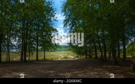 Vue sur les prairies ouvertes jusqu'à un ciel bleu sur la plaine de Salibury depuis un trou dans la forêt Banque D'Images