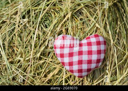 Sur fond de foin se trouve un petit coeur en tissu rouge et blanc à carreaux pour une idylle rurale Banque D'Images