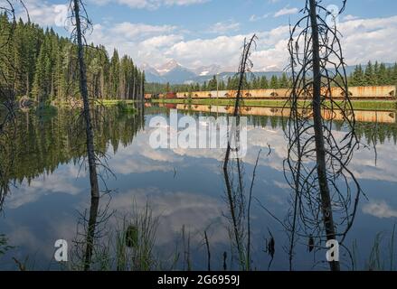 Un étang et un arbre s'accrochent à côté des wagons de trains de marchandises dans le parc national Yoho près de Field, en Colombie-Britannique Banque D'Images