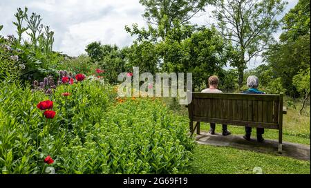 East Lothian, Écosse, Royaume-Uni, 4 juillet 2021. Scotland's Garden Scheme nouveau jardin ouvert: Shane Corstorphine, ancien directeur financier de Skyscanner et un jardinier passionné, a passé 4 ans à préparer les jardins de Camptoun House pour la première fois à recueillir de l'argent pour un jardin clos à Gilmerton. Il y a un jardin de cuisine, un jardin clos, un verger et un sentier de fées. Plus de 400 personnes ont visité le jardin pendant le week-end malgré la forte pluie hier. Photo : deux personnes se détendent dans le verger avec un lit à fleurs conçu pour les abeilles Banque D'Images