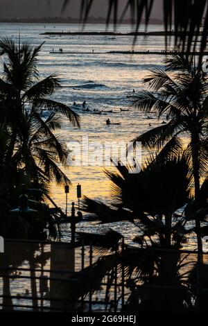 Vue sur les surfeurs encadrés par la silhouette des palmiers lorsqu'ils font le tour des vagues dans les îles hawaïennes. Banque D'Images