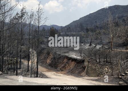 Limassol, Chypre. 4 juillet 2021. Une forêt brûlée est vue au village de Melini, dans le district de Limassol, Chypre, le 4 juillet 2021. Quatre personnes ont été tuées dans un incendie de forêt de mammouth qui fait rage depuis près de 24 heures dans une zone montagneuse de Chypre, a déclaré la police dimanche. Credit: George Christophorou/Xinhua/Alay Live News Banque D'Images