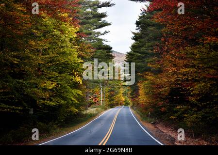 Route à feuillage d'automne en Nouvelle-angleterre Banque D'Images