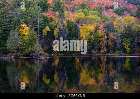 Reflet de couleur d'automne sur l'eau noire Banque D'Images