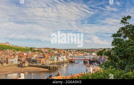 Port et ville de Whitby avec vue vers l'intérieur. Les bâtiments de la ville se regroupent autour du port et un pont traverse l’eau. Une arborescence se trouve au premier plan. Banque D'Images