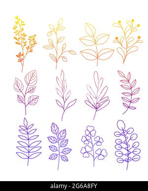 Ensemble d'illustrations vectorielles de simples gribouillages de fleurs et de brindilles avec des feuilles en ligne de couleur sur fond blanc. Illustration de Vecteur