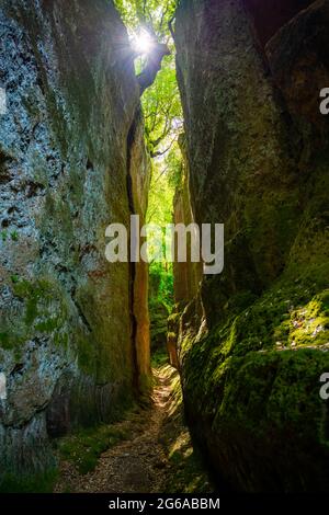 Via Cava dans la région de Sovana Etrurian Banque D'Images