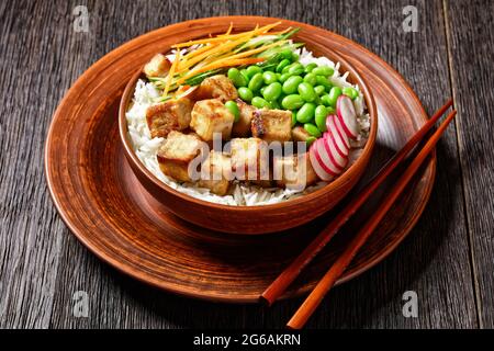 bol de poke végétarien au tofu avec riz basmati, haricots édamames, radis, salade de concombres et de carottes finement tranchés dans un bol en argile avec baguettes, horizonta Banque D'Images