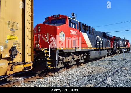 Dolton, Illinois, États-Unis. Une paire de locomotives du canadien National dirige un train de marchandises à crémaillère sur une courbe. Banque D'Images