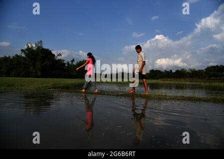 Guwahati, Guwahati, Inde. 4 juillet 2021. Une jeune fille du village marche à travers le rizières inondées après la pluie à Bamunsula dans le district de Baksa d'Assam Inde le dimanche 4 juillet 2021 crédit: Dasarath Deka/ZUMA Wire/Alay Live News Banque D'Images