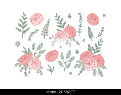 Ensemble de fleurs de mariage dessinées à la main. Illustration vectorielle Illustration de Vecteur