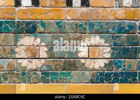 Mur de briques endommagé avec une simple image de fleurs de Marguerite de l'ancienne Babylone Banque D'Images