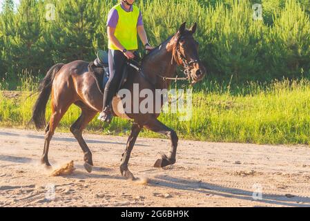 Concurrent fille équitation cheval dans le champ d'été pré.Jeune cavalier gallerps par le jour ensoleillé d'été.Rivalry concept. Banque D'Images