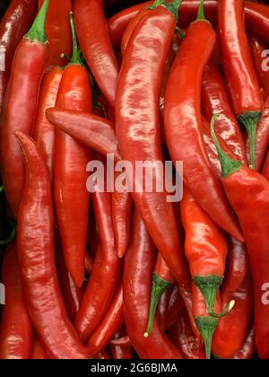 beaucoup de piments rouges mûrs pour manger comme fond Banque D'Images