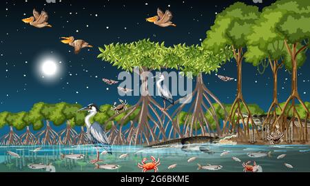 Paysage de la forêt de mangroves scène la nuit avec de nombreuses illustrations d'animaux différents Illustration de Vecteur