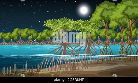 Scène de paysage de la forêt de mangroves à l'illustration de nuit Illustration de Vecteur