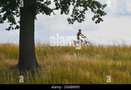 04 juillet 2021, Brandebourg, Reitwein: Un cycliste est sur le sentier de l'Oder-Neisse, qui est situé dans l'Oderbruch sur la digue de la frontière germano-polonaise Oder près de Reitwein. La piste cyclable Oder-Neisse est une piste cyclable longue distance en République tchèque et en Allemagne qui fait environ 630 kilomètres de long. Elle suit largement la frontière orientale de l'Allemagne avec la Pologne. La route à vélo Oder-Neisse s'étend vers le sud-nord sur environ 55 kilomètres à travers la République tchèque, en partant de la source de la Neisse et en la suivant jusqu'à l'endroit où la Neisse se jette dans l'Oder. Vers l'ouest le long de l'Oder, TH Banque D'Images