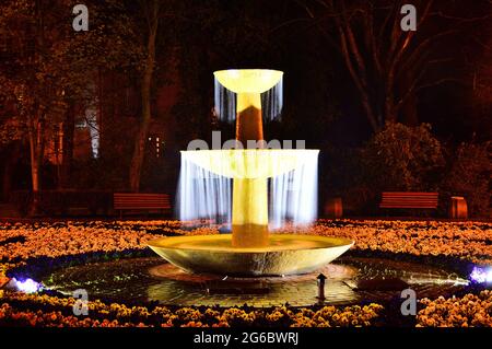 Traînées d'eau dans la fontaine illuminées de lumière la nuit. Nuit. Banque D'Images