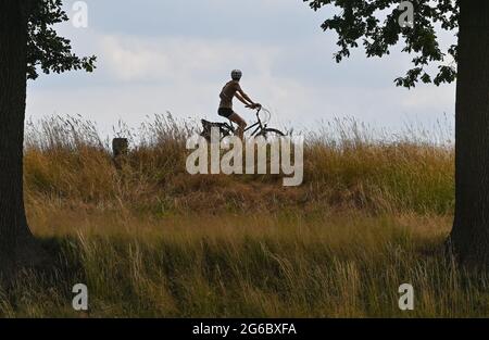 04 juillet 2021, Brandebourg, Reitwein: Un cycliste est sur le sentier de l'Oder-Neisse, qui est situé dans l'Oderbruch sur la digue de la frontière germano-polonaise Oder près de Reitwein. La piste cyclable Oder-Neisse est une piste cyclable longue distance en République tchèque et en Allemagne qui fait environ 630 kilomètres de long. Elle suit largement la frontière orientale de l'Allemagne avec la Pologne. La route à vélo Oder-Neisse s'étend vers le sud-nord sur environ 55 kilomètres à travers la République tchèque, en partant de la source de la Neisse et en la suivant jusqu'à l'endroit où la Neisse se jette dans l'Oder. Vers l'ouest le long de l'Oder, TH Banque D'Images