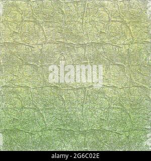 fond vert motif de texture de relief fissuré gros plan Banque D'Images