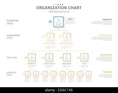 Modèle d'infographie pour les entreprises. Organigramme moderne avec position, infographie de vecteur de présentation. Illustration de Vecteur