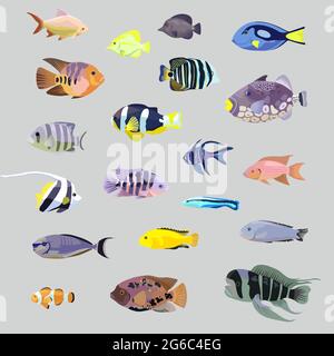 Grand ensemble de poissons marins tropicaux réalistes isolés d'aquarium de corail. Illustration de Vecteur