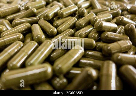 Substance à base de plantes en poudre verte dans une capsule de gel souple Banque D'Images