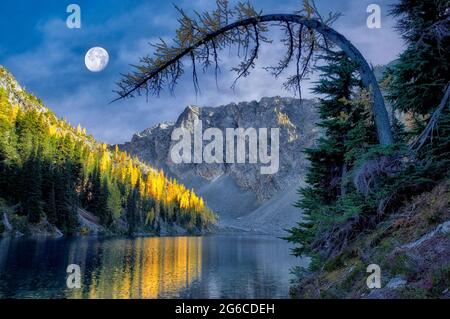 Blue Lake avec tamarack ou mélèze reflétés dans la couleur et la lune d'automne. Parc national de North Cascades. Washington. Moon a été ajouté Banque D'Images
