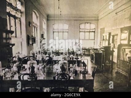 Aller à la page|12345Suivant ancien laboratoire chimique avec équipement et table avec flacons en verre et tasses à mesurer, Laboratoire médical, Décoration ancienne Banque D'Images