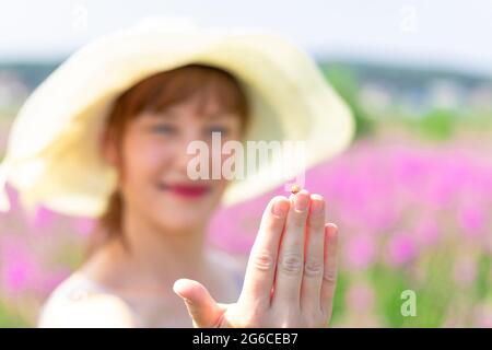 Frottant une jeune fille avec une coccinelle dans la main dans un champ de fleurs rouges lors d'une chaude journée d'été. Mise au point sélective. Gros plan Banque D'Images