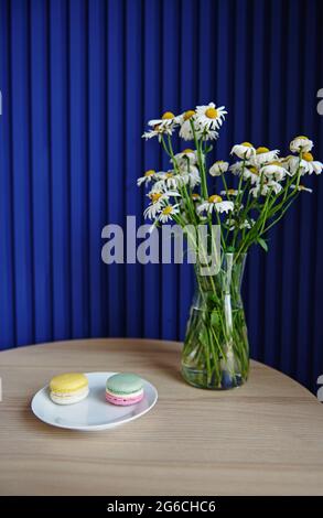 Encore la vie. Fleurs de camomille dans un vase en verre transparent près d'une assiette de pâtes colorées sur une table en bois debout à côté d'un mur bleu en relief. Banque D'Images