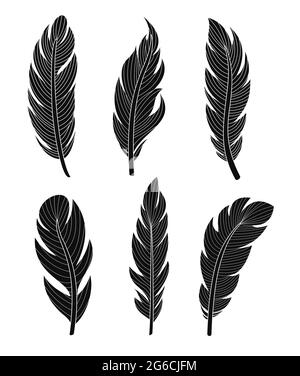 Ensemble d'illustrations vectorielles de six plumes silhouettes élégantes sur fond blanc pour votre conception et votre décoration. Illustration de Vecteur