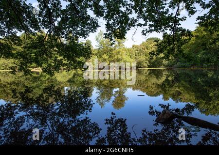 L'étang de Leyenweiher dans la Heath de Wahner près de Troisdorf, Rhénanie-du-Nord-Westphalie, Allemagne. Der Leyenweiher dans le Wahner Heide BEI Troisdorf, Nordrhei Banque D'Images