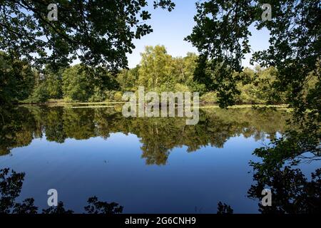 L'étang de Leyenweiher dans la Heath de Wahner près de Troisdorf, Rhénanie-du-Nord-Westphalie, Allemagne. Der Leyenweiher dans le Wahner Heide BEI Troisdorf, Nordrhei Banque D'Images